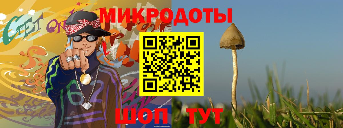 Псилоцибиновые грибы GOLDEN TEACHER Павлово